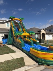 IMG 4530 1773361878 Cali Palms 19ft