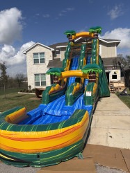 IMG 4531 1773361876 Cali Palms 19ft